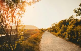 career transition mindset after layoff
